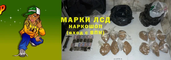 ГАЛЛЮЦИНОГЕННЫЕ ГРИБЫ Пестово