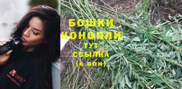 ГАЛЛЮЦИНОГЕННЫЕ ГРИБЫ Пестово