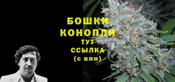 mdpv Пересвет