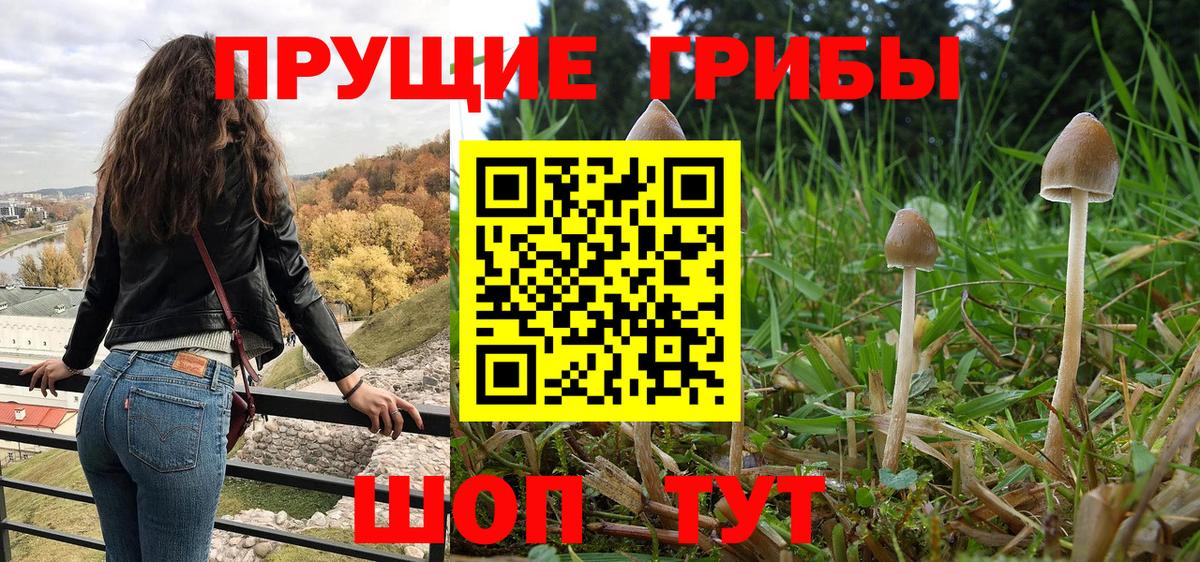 Кохма  сколько стоит  Вход с VPN  Псилоцибиновые грибы прущие грибы 